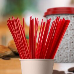 Sip & Stir Straws – 5.5″ Red
